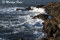 Coastline and waves, Boiler Bay, OR