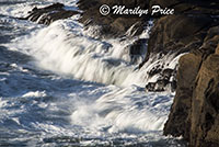 Coastline and waves, Boiler Bay, OR