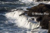 Coastline and waves, Boiler Bay, OR