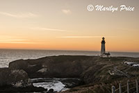 Yaquina Head Lighthouse at sunset, Yaquina Head, OR