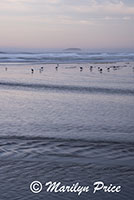 Waves, Beverly Beach, OR