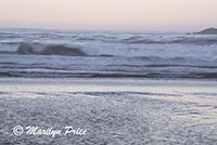 Waves, Beverly Beach, OR