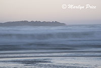 Waves and coastline, Beverly Beach, OR