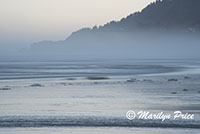 Waves and coastline, Beverly Beach, OR