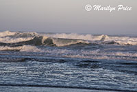 Waves, Beverly Beach, OR