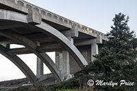 Bridge (Highway 101) at entrance to Beverly Beach, OR