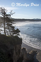 Coastline, Otter Rock, OR