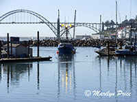 Fishing boat comes into port to offload the day's catch with bridge in background, Yaquina Bay, Newport, OR