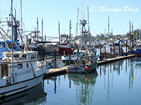 Fishing boats at the dock with bridge in background, Yaquina Bay, Newport, OR