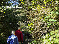 Marilyn, Jesse, and Nancy on the trail to Thor's Well, Cape Perpetua, OR