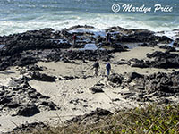 Bill and Marilyn approach Thor's Well, Cape Perpetua, OR