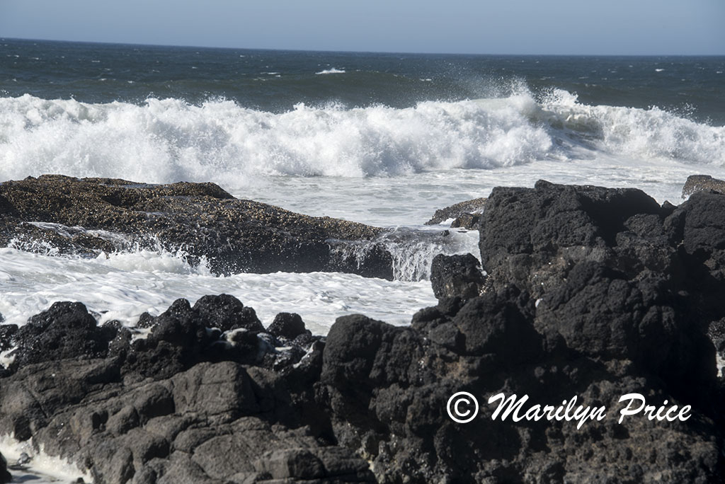 Thor's Well, Cape Perpetua, OR