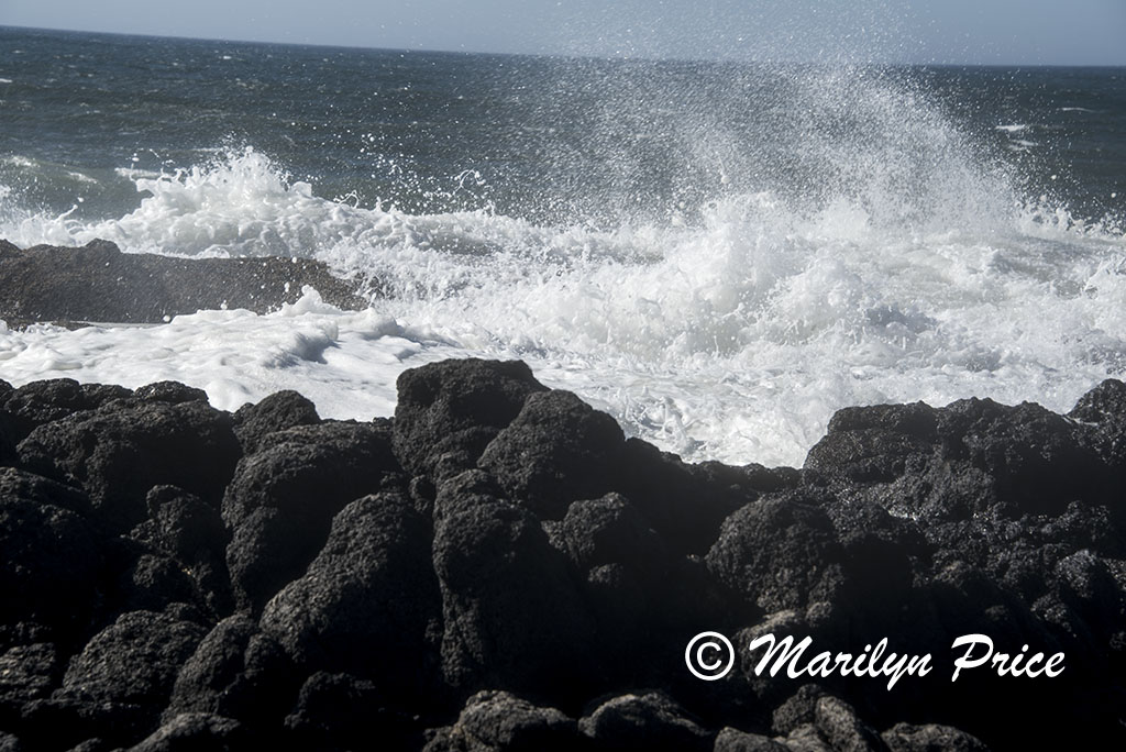 Thor's Well, Cape Perpetua, OR