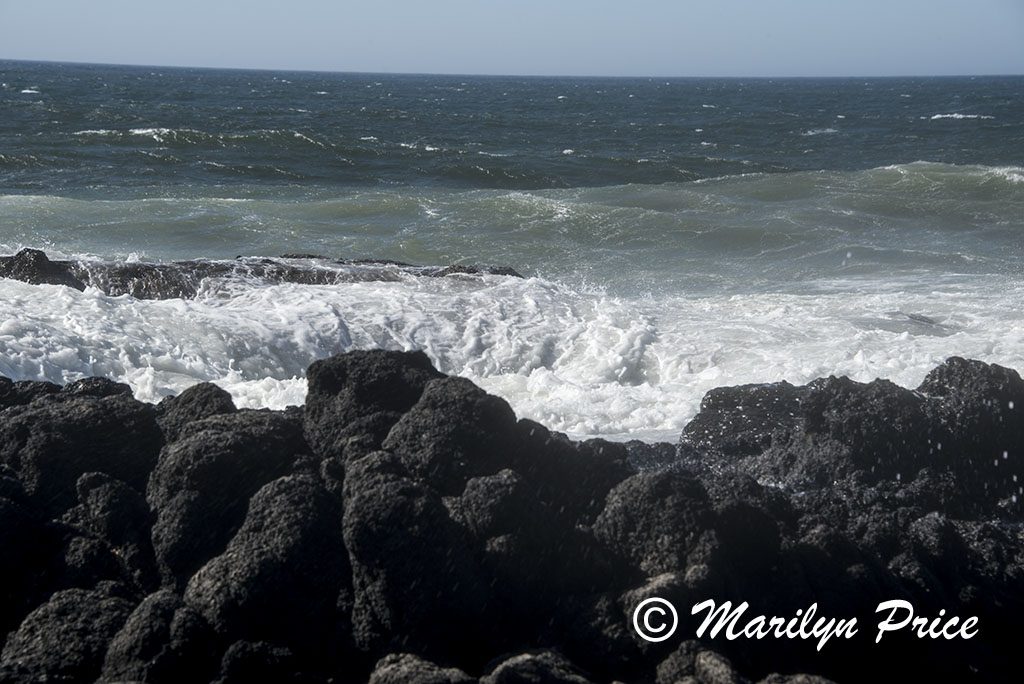 Thor's Well, Cape Perpetua, OR