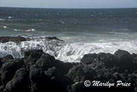 Thor's Well, Cape Perpetua, OR