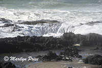 Thor's Well, Cape Perpetua, OR