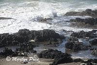 Thor's Well, Cape Perpetua, OR