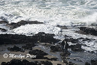 Thor's Well, Cape Perpetua, OR