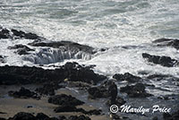 Thor's Well, Cape Perpetua, OR