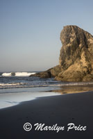 Sea stacks and waves, Face Rock Scenic Viewpoint, Bandon, OR