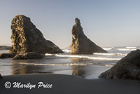 Sea stacks and waves, Face Rock Scenic Viewpoint, Bandon, OR