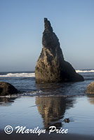 Sea stacks and waves, Face Rock Scenic Viewpoint, Bandon, OR