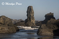 Sea stacks and waves, Face Rock Scenic Viewpoint, Bandon, OR