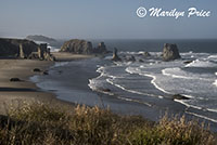 Sea stacks and waves, Coquille Point, Bandon, OR