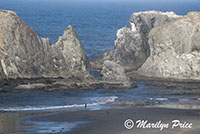 Sea stacks and waves, Coquille Point, Bandon, OR