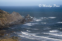 Coastline, Cape Blanco, OR