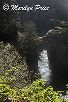 Natural Bridges, Samuel H. Boardman State Scenic Corridor, OR