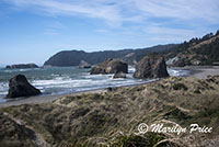 Grasses and sea stacks, Cape Sebastian, OR