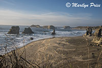 Sea stacks and waves, Face Rock Scenic Viewpoint, Bandon, OR