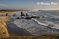 Sea stacks and waves, Face Rock Scenic Viewpoint, Bandon, OR