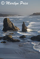 Sea stacks and waves, Face Rock Scenic Viewpoint, Bandon, OR