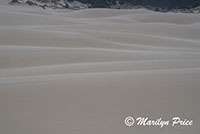 Patterns in the sand, John Dellenback Dunes, OR