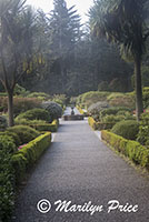 Central pathway, Shore Acres State Park, OR