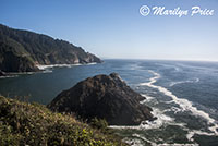 Coastline from Heceta Head Lighthouse, Heceta Head, OR