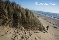 Carl carefully descending the steep dunes, South Jetty and Dunes, OR