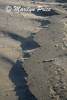 Patterns in the sand, South Jetty and Dunes, OR