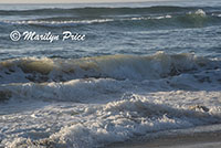 Waves, South Jetty and Dunes, OR