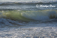 Waves, South Jetty and Dunes, OR