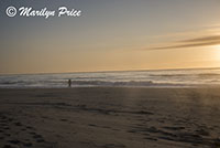 Sunset and waves, South Jetty and Dunes, OR