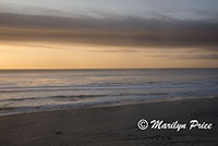 Sunset and waves, South Jetty and Dunes, OR