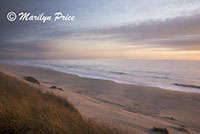 Sunset with sand dunes and grasses, South Jetty and Dunes, OR