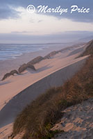 Sunset with sand dunes and grasses, South Jetty and Dunes, OR