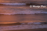 Sunset and waves, South Jetty and Dunes, OR