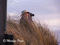 Marilyn shooting the sunset, South Jetty and Dunes, OR