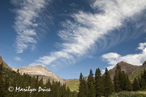 Looking up the valley, Yankee Boy Basin, near Ouray, CO