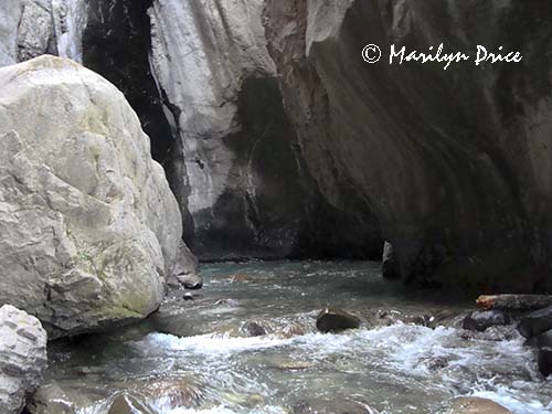 Box Canyon and Canyon Creek, Box Canyon Trail, Ouray, CO